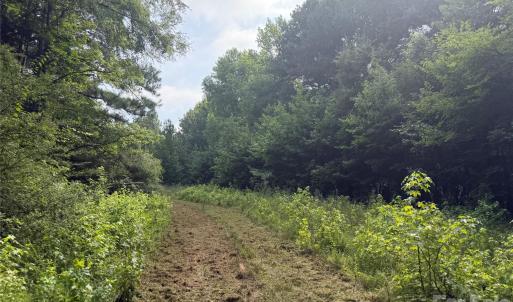 Photo #23 of Chappell, McConnells, SC