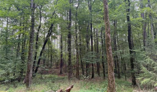 Photo #28 of Chappell, McConnells, SC