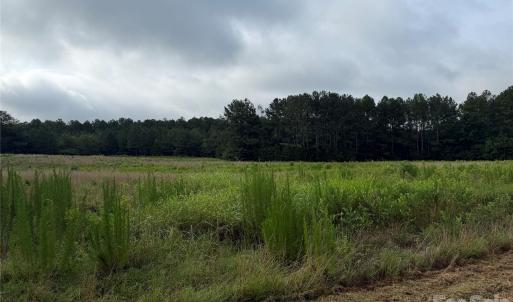Photo #18 of Chappell, McConnells, SC