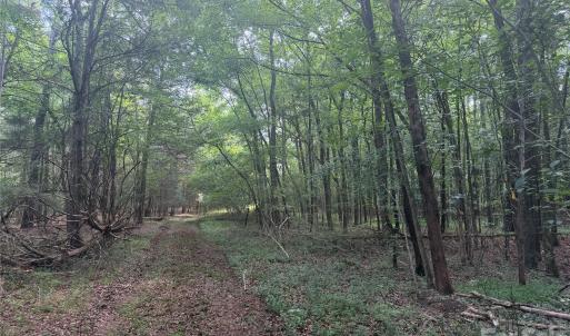 Photo #8 of Chappell, McConnells, SC