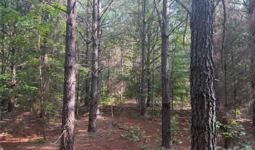 Photo #7 of Chappell, McConnells, SC