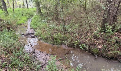 Photo #26 of Chappell, McConnells, SC
