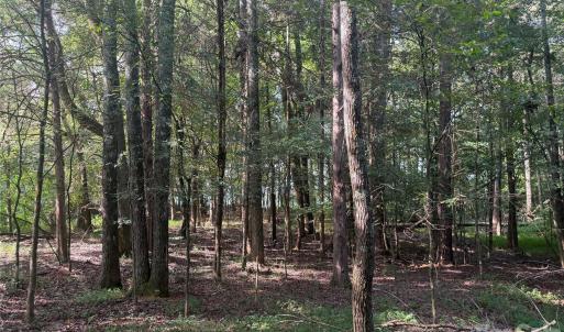 Photo #22 of Chappell, McConnells, SC