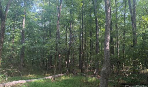 Photo #21 of Chappell, McConnells, SC