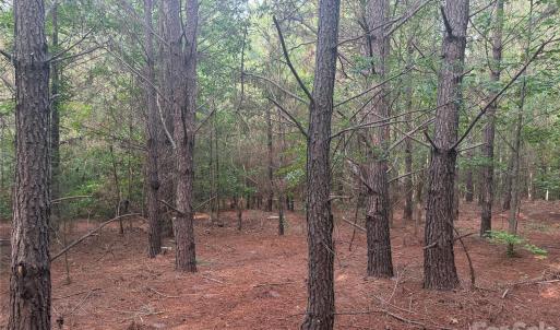 Photo #19 of Chappell, McConnells, SC