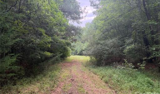 Photo #3 of Chappell, McConnells, SC