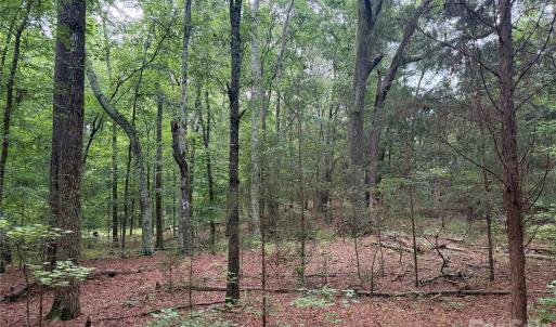Photo #27 of Chappell, McConnells, SC