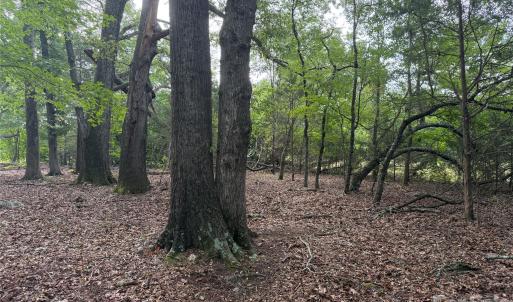 Photo #5 of Chappell, McConnells, SC
