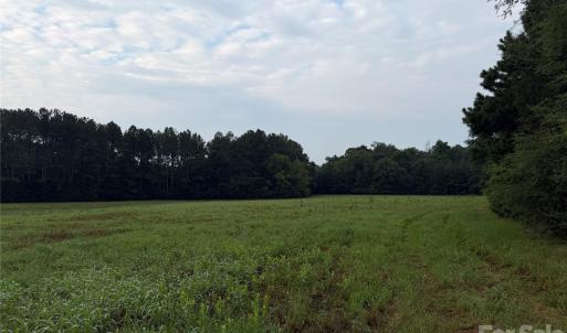 Photo #30 of Chappell, McConnells, SC