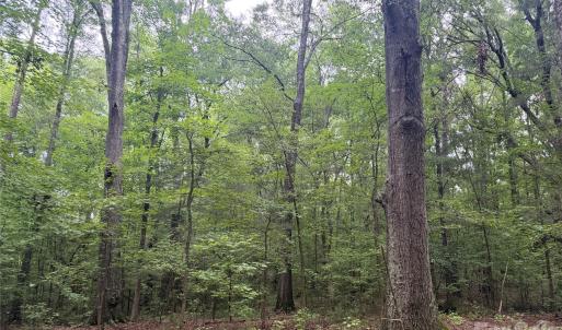 Photo #25 of Chappell, McConnells, SC