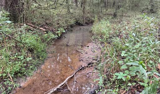 Photo #2 of Chappell, McConnells, SC