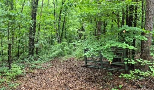 Photo #3 of 3231 Shadybark, Catawba, SC