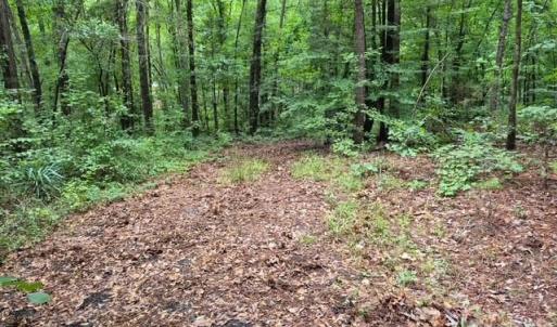Photo #2 of 3231 Shadybark, Catawba, SC