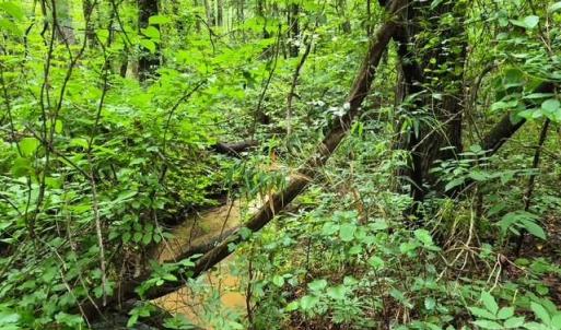 Photo #4 of 3231 Shadybark, Catawba, SC