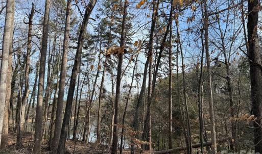 Photo #4 of 868 Bellegray, Clover, SC