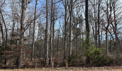 Photo #3 of 868 Bellegray, Clover, SC
