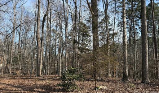 Photo #5 of 868 Bellegray, Clover, SC