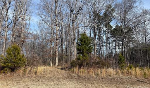 Photo #6 of 868 Bellegray, Clover, SC