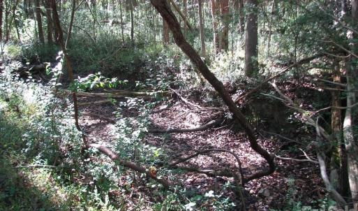 Photo #5 of 25 Ac Brandon, Clover, SC