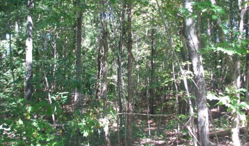 Photo #4 of 25 Ac Brandon, Clover, SC