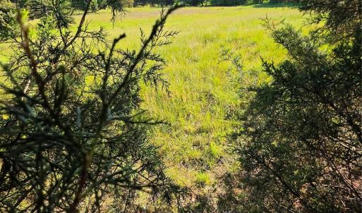Photo #4 of 12505 Oscar, Locust, NC