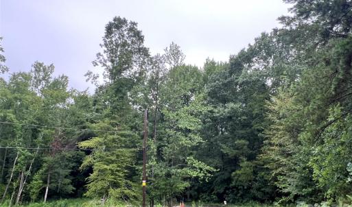 Photo #3 of 5 Wilderness, Lancaster, SC