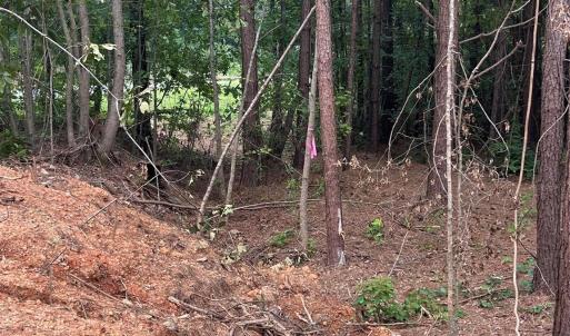 Photo #6 of 40896 Southbound, Albemarle, NC