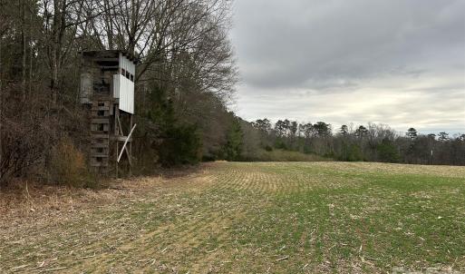 Photo #11 of 1440 Carl Taylor, Peachland, NC