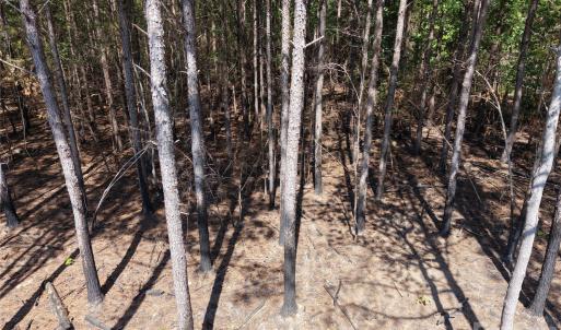 Photo #14 of 1440 Carl Taylor, Peachland, NC