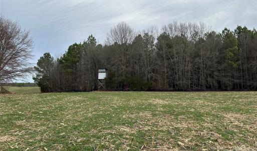 Photo #12 of 1440 Carl Taylor, Peachland, NC