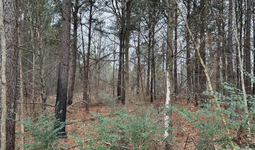 Photo #20 of 1440 Carl Taylor, Peachland, NC