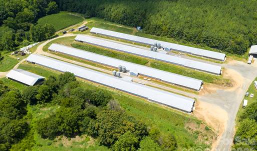Photo #4 of Hogan Farm, Denton, NC