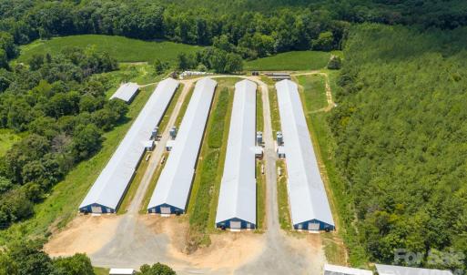 Photo #6 of Hogan Farm, Denton, NC