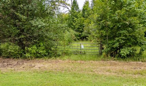 Photo #8 of Jasmine, Fort Lawn, SC