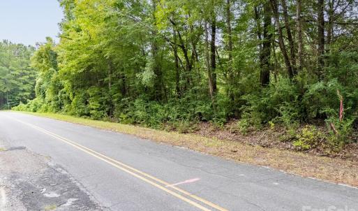 Photo #10 of Jasmine, Fort Lawn, SC