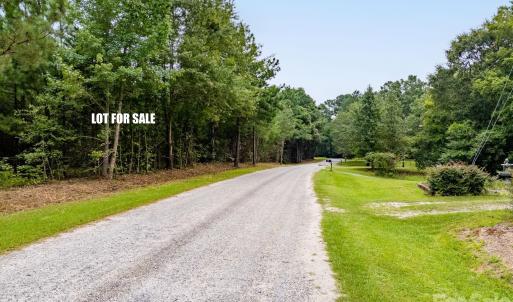 Photo #8 of Jasmine, Fort Lawn, SC