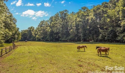 Photo #31 of 815 French Belk, Mt Ulla, NC