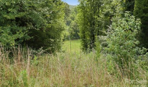 Photo #6 of 4650 Forest View, Blacksburg, SC