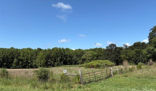 Photo #3 of Tom Greene, Waxhaw, NC