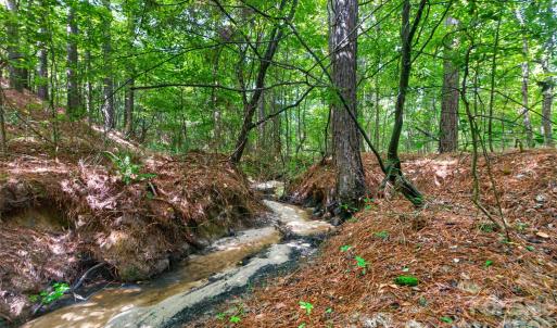 Photo #3 of Westbrook, Edgemoor, SC