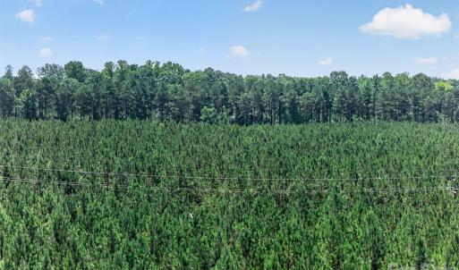 Photo #32 of Westbrook, Edgemoor, SC