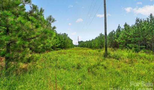 Photo #38 of Westbrook, Edgemoor, SC