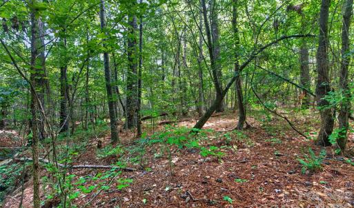 Photo #41 of Westbrook, Edgemoor, SC
