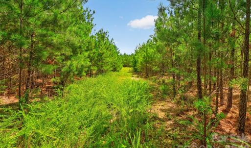 Photo #7 of Westbrook, Edgemoor, SC