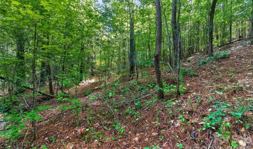 Photo #43 of Westbrook, Edgemoor, SC