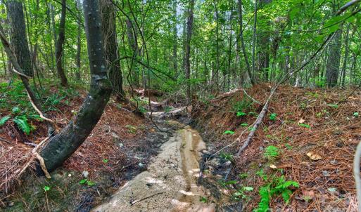 Photo #25 of Westbrook, Edgemoor, SC