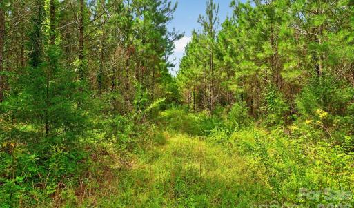 Photo #36 of Westbrook, Edgemoor, SC