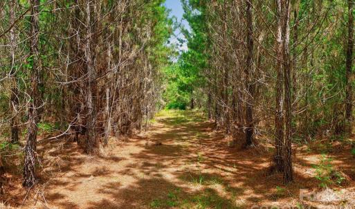 Photo #46 of Westbrook, Edgemoor, SC