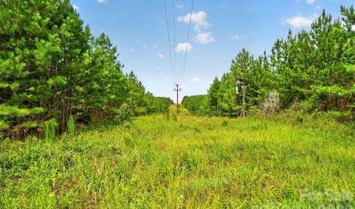 Photo #39 of Westbrook, Edgemoor, SC
