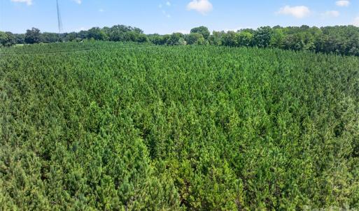 Photo #18 of Westbrook, Edgemoor, SC